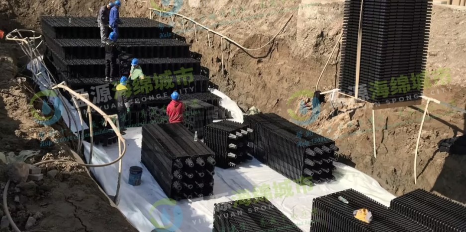 2023.11.19南通通州區正場花苑